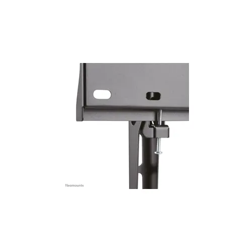 neomounts-by-newstar-tv-wall-mount-84999-wlononwcrdggr.webp
