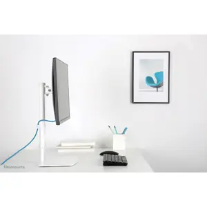neomounts-fpma-d890white-monitor-stand-10-30-32334-wlononwcrjhhn.webp