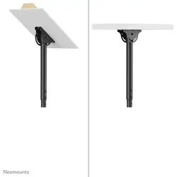neomounts-monitor-ceiling-mount-19383-wlononwcrbgl9.webp