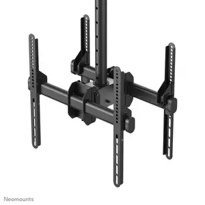 neomounts-nm-c440dblack-dual-monitortv-mount-ceiling-32-60-h-11664-wlononwcrakd3.webp