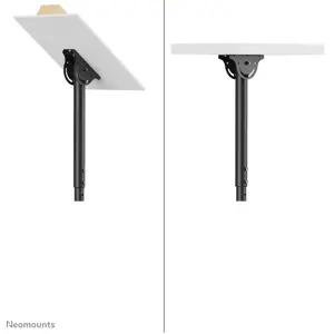 neomounts-nm-c440dblack-dual-monitortv-mount-ceiling-32-60-h-50198-wlononwcrakd3.webp