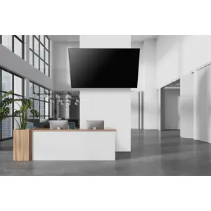neomounts-wall-mount-level-750-xl-100-kg-tilta-26463-wlononwcrel51.webp