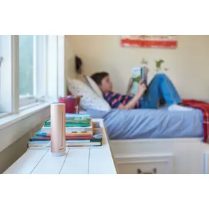 netatmo-smart-indoor-air-quality-monitor-58802-wlononwcriyyd.webp