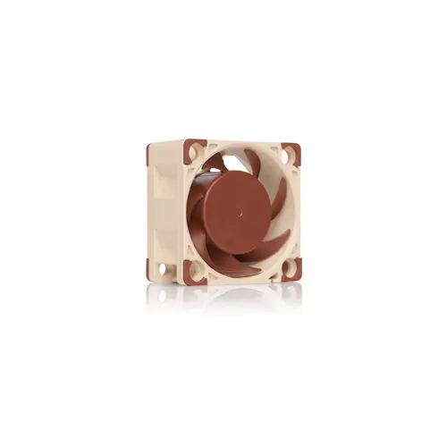 Ventilator za računalno kućište NOCTUA NF-A4x20 FLX (4 cm, Bež, Smeđa)