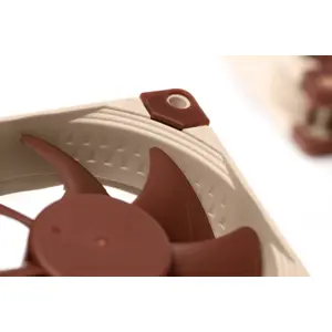 noctua-nf-a8-computer-case-fan-8-cm-beige-brown-91245-wlononwcrakmw.webp