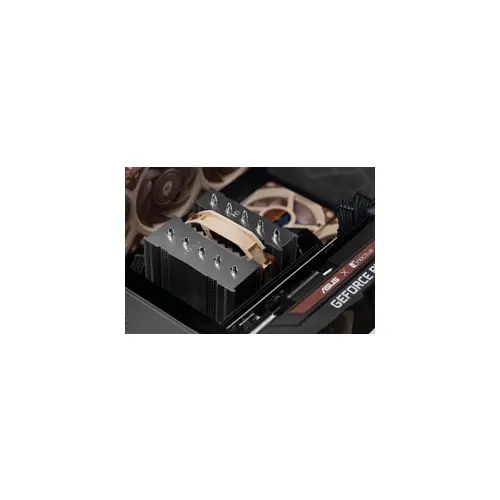 noctua-nh-d12l-cpu-cooler-120mm-3961-wlononwcrakrs.webp