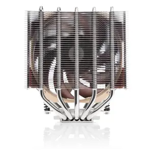 noctua-nh-d12l-cpu-cooler-120mm-62156-wlononwcrakrs.webp