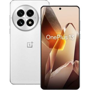 OnePlus 13 16/512 GB Arctic Dawn EU