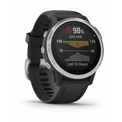 pametni-sat-garmin-fenix-6s-silver-42mm-crni-010-02159-01-010-02159-01_276809.jpg