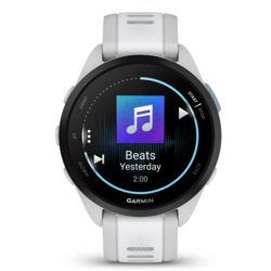 pametni-sat-garmin-forerunner-165-music-mist-grey-whitestone-30408-010-02863-31.jpg