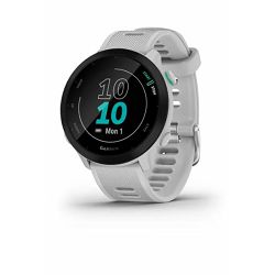 Pametni sat GARMIN Forerunner 55 bijeli, 010-02562-11