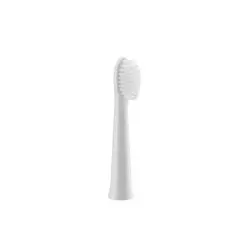Panasonic WEW0972W503 toothbrush head