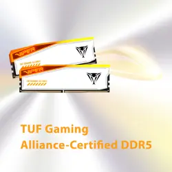 patriot-viper-elite-5-rgb-tuf-kit-32gb-2x16gb-ddr5-6000-dimm-80695-patme-32gb_ddr5_60_0.webp