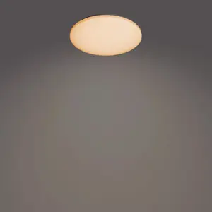 Philips Functional Izso Ceiling Light 40 W