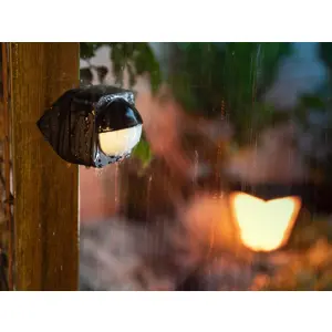 philips-hue-hue-outdoor-sensor-black-47017-wlononwcrchay.webp