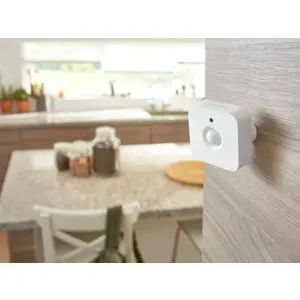 philips-hue-motion-sensor-eu-92900306-81358-wlononwcr8274.webp