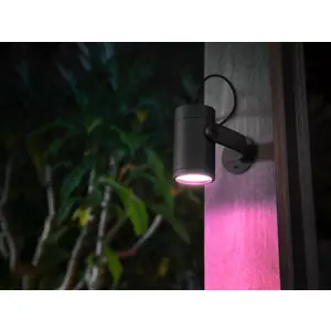 philips-hue-white-and-colour-ambience-lily-outdoor-spot-ligh-61489-wlononwcrjhxz.webp