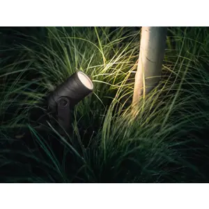 philips-hue-white-and-colour-ambience-lily-outdoor-spot-ligh-78502-wlononwcrjhxz.webp