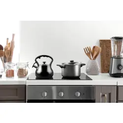 promis-kettle-30-l-andrea-matt-black-black-handle-17185-agdpmsczn0030.webp