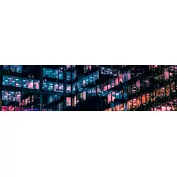racunalni-monitor-aoc-p1-x24p1-24-1920-x-1200-piksela-wuxga--38235-wlononwcrcrgr.webp