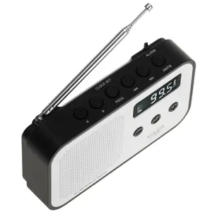 radio-adler-ad-1907-45121-oavadlrap0027.webp