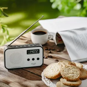 radio-adler-ad-1907-55065-oavadlrap0027.webp