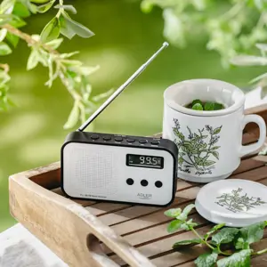 radio-adler-ad-1907-56565-oavadlrap0027.webp