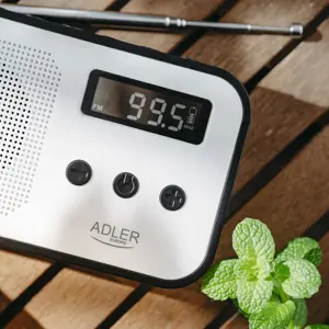 radio-adler-ad-1907-66479-oavadlrap0027.webp