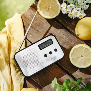 radio-adler-ad-1907-86704-oavadlrap0027.webp