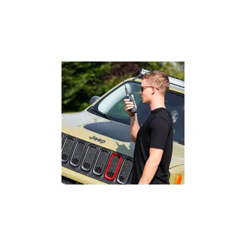 radio-cb-alan-42ds-amfm-digital-squelch-4620-wlononwcrasbl.webp