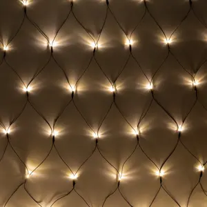 Rebel outdoor Christmas lights - network