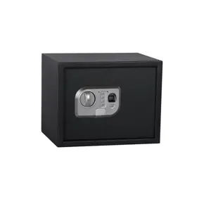 SAFE SP-25ELG 350X250X250