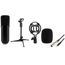 sal-mikrofon-studijski-sa-postoljem-35-mm-24-met-m-12-63573-5999084953270.webp