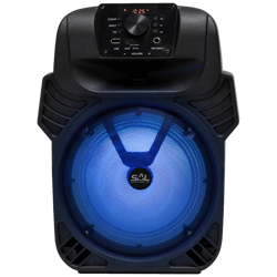 sal-zvucnik-bezicni-bluetooth-fm-radio-karaoke-40-25-par20bt-45078-5999084969219.webp