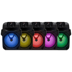 sal-zvucnik-bezicni-bluetooth-fm-radio-karaoke-40-25-par20bt-73832-5999084969219.webp