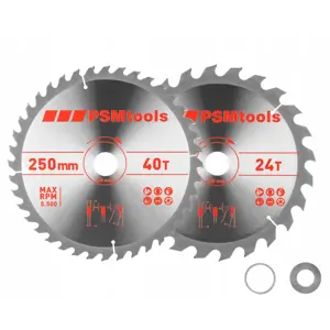 Set of two discs HM 250x30mm 24/40Z