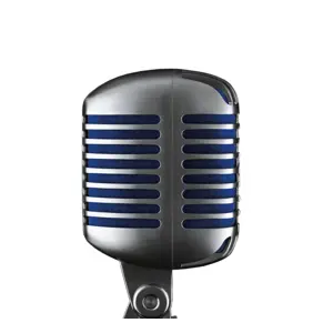 Shure SUPER55 Grey Studio microphone