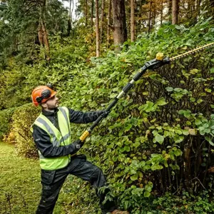 skare-za-grane-dewalt-18v-xr-pole-shears-55-domet-do-335m-ka-60784-wlononwcrcht5.webp
