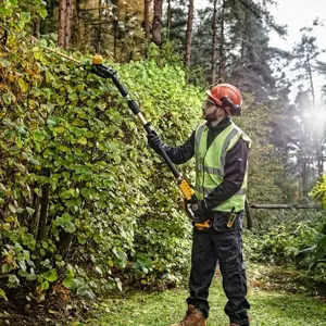 skare-za-grane-dewalt-18v-xr-pole-shears-55-domet-do-335m-ka-60942-wlononwcrcht5.webp