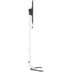 slim-tv-lcdled-floor-stand-32-70-inch-40kg-adjustable-89533-wlononwcrboum.webp