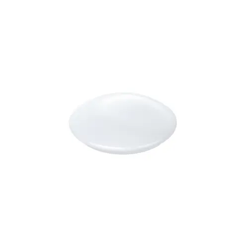 Pametna LED stropna svjetiljka R5111 (30cm, upravljanje putem daljinskog upravljača, WiFi)