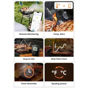 sonoff-termometer-for-meat-bmt01-23955-sonsh-6920075742954.webp