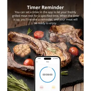 sonoff-termometer-for-meat-bmt01-25701-sonsh-6920075742954.webp