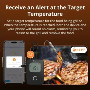 sonoff-termometer-for-meat-bmt01-26796-sonsh-6920075742954.webp