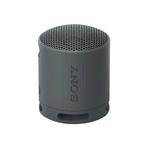 sony-srs-xb100-wireless-bluetooth-portable-speaker-durable-i-58818-wlononwcrchck.webp