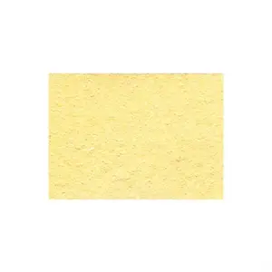 spuzva-za-lemnu-stanicu-zd-91291791989158925-60x50-mm-80922-7300083524.webp