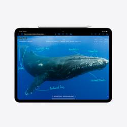 tablet-apple-ipad-pro-11-2024-11-wifi-2tb-silver-standard-gl-94503-mvvh3hca.webp