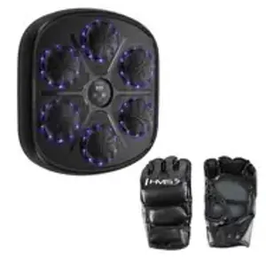 TB03 ELEKTRONICZNA TARCZA BOKSERSKA BLUETOOTH Z MUZYKĄ I RĘKAWICAMI HMS