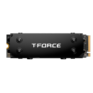 Teamgroup GE PRO 2TB M.2 PCIE SSD Disk