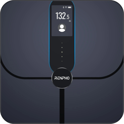 the-route-apiv1botstranslation-could-not-be-found-74839-renga-peu-r-a031.webp